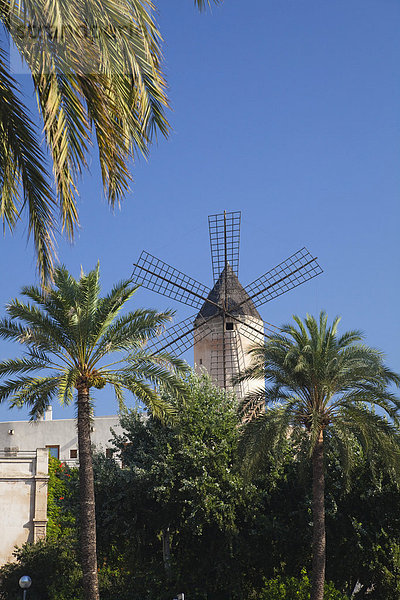 Historische Windmühle von Es Jonquet in Palma de Mallorca  Mallorca  Balearen  Mittelmeer  Spanien  Europa