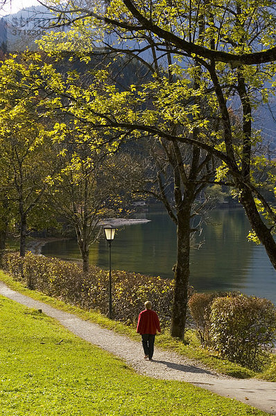 Kochelsee Kreis Bad Tölz-Wolfratshausen Oberbayern Deutschland