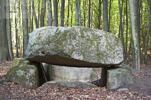 Insel Rügen Mecklenburg-Vorpommern Deutschland Halbinsel Jasmund prähistorisches Steingrab im Wald bei den Wissower Klinken