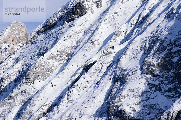 Canazei Trentino Italien Fassatal Valle di Fassa Skigebiet Ciampac verschneite Felsen des Collaz