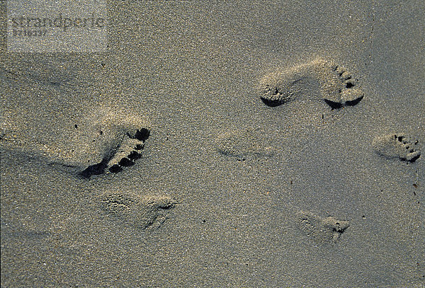 Fußabdrücke von Einjährigem und Erwachsenem im Sand