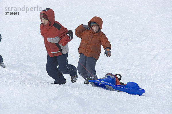 Zwei Kinder beim Schlittenfahren ziehen Schlitten den Berg hoch
