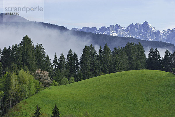 Blick vom Hahnenkamm bei Aschau in Richtung Wilder Kaiser Tirol Österreich