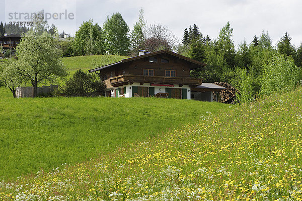Wohnhaus mit Wiese in Kitzbühel Tirol Österreich