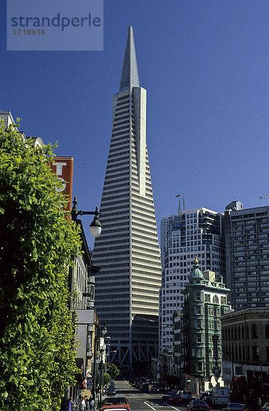 Transamerica Pyramide in der Innenstadt von San Francisco  Kalifornien  USA