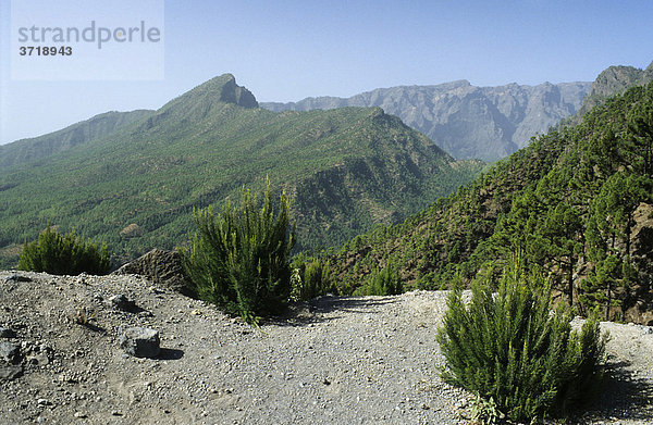 Blick auf die Caldera de Taburiente auf La Palma  Kanarische Inseln  Spanien