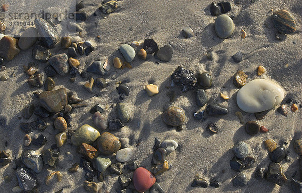 Steine liegen am Nordseestrand