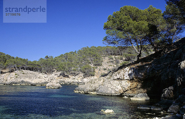 Einsame Bucht bei Peguera auf Mallorca  Spanien