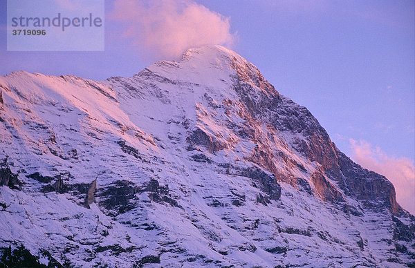 Alpenglühen am Gipfel des Eiger bei Grindelwald im Abendlicht  Schweiz