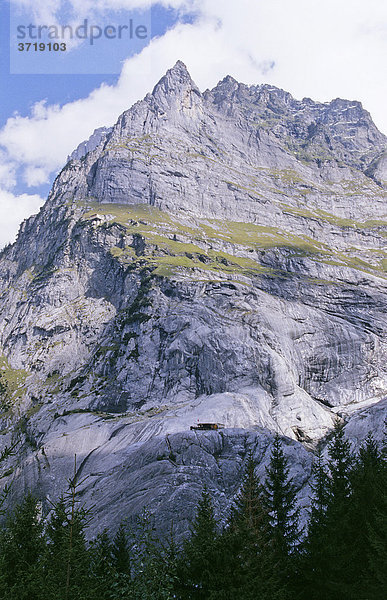 Wetterhorn bei Grindelwald  Schweiz