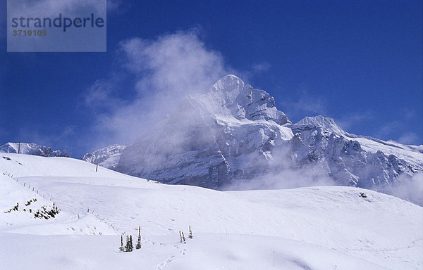 Gipfel des Wetterhorns über einem Schneefeld bei Grindelwald  Schweiz
