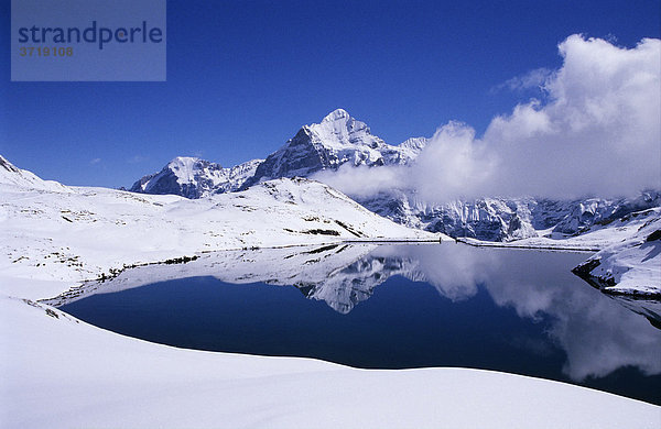 Bachalpsee und Wetterhorn bei Grindelwald  Schweiz