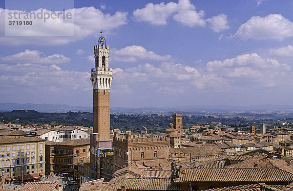 Blick über die Dächer von Siena auf den Turm des Palazzo Publico Italien