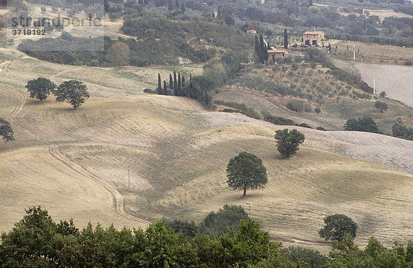 Typische Hügellandschaft der Crete nahe Montalcino Toskana Italien