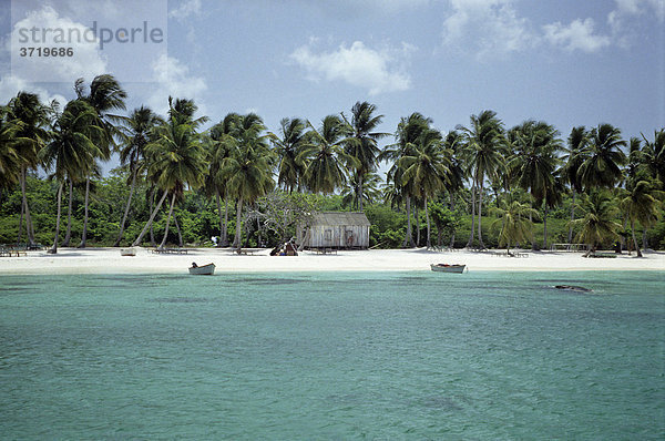 Hütte an einem Palmenstrand  Dominikanische Republik