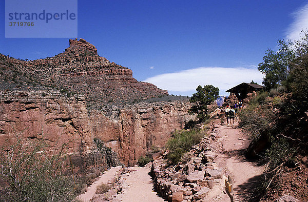 Bright Angel Trail  Grand Canyon  Arizona  USA