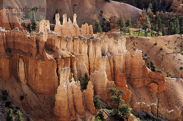 Felsformationen im Bryce Canyon  Utah  USA