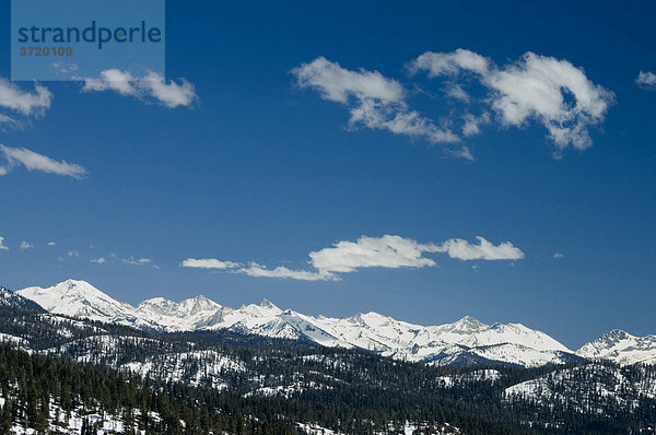 Verschneite Berge Sequoia Nationalpark Sierra Nevada Kalifornien USA