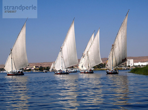 Segelboote (Feluken) auf dem Nassersee Assuan Ägypten