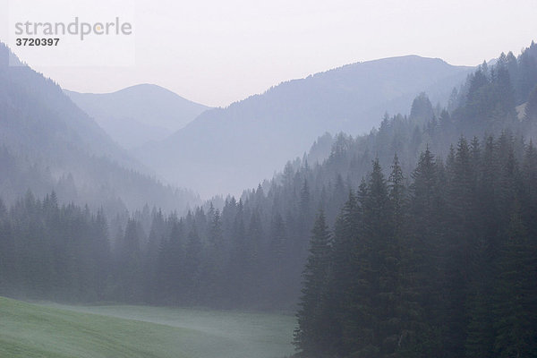 Morgendunst im Nationalpark Nockberge nahe Reichenau - Kärnten - Östereich