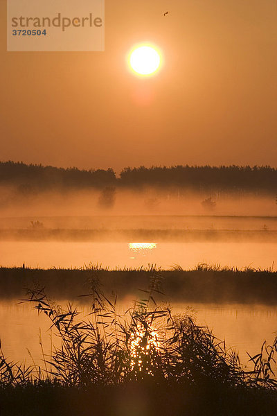 Sonnenaufgang im Aischgrund - Karpfenteich - Mittelfranken