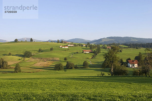 Laufenegg im Paradies bei Oberstaufen - Allgäu