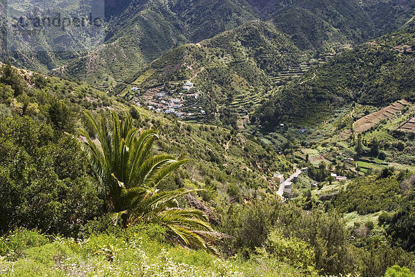 Landschaft bei Vallehermoso - La Gomera