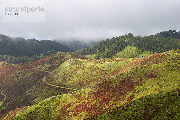 Hochebene Paul do Serra auf Madeira