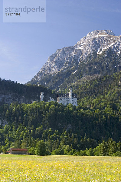 Schloss Neuschwanstein - Allgäu