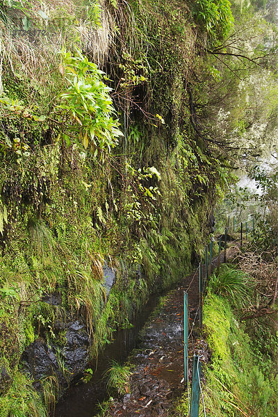 Levada do Caldeirao Verde - Bewässerungskanal und Fußweg - Madeira