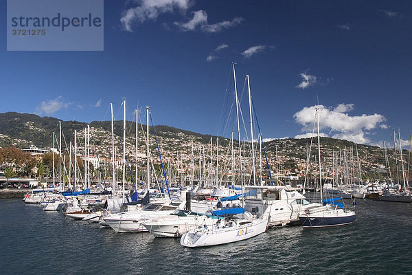 Yachthafen in Funchal - Marina - Madeira