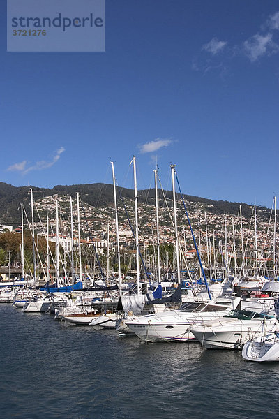 Yachthafen in Funchal - Marina - Madeira