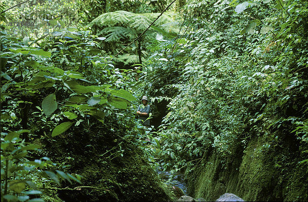 Nationalpark Tapanti Costa Rica