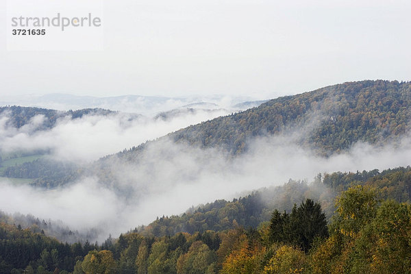 Landschaft mit Nebelschwaden bei Haag - Bayerischer Wald Niederbayern