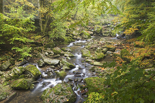 Naturschutzgebiet Buchberger Leite bei Freyung - Bayerischer Wald Niederbayern
