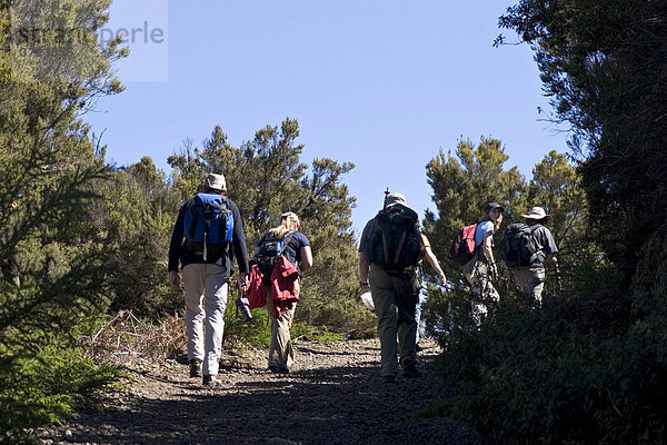 Wandergruppe im Nationalpark Garajonay - Kanaren La Gomera