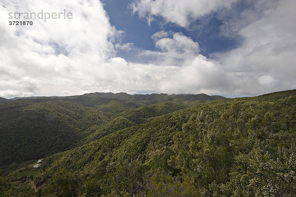 Nationalpark Garajonay - La Gomera Kanaren