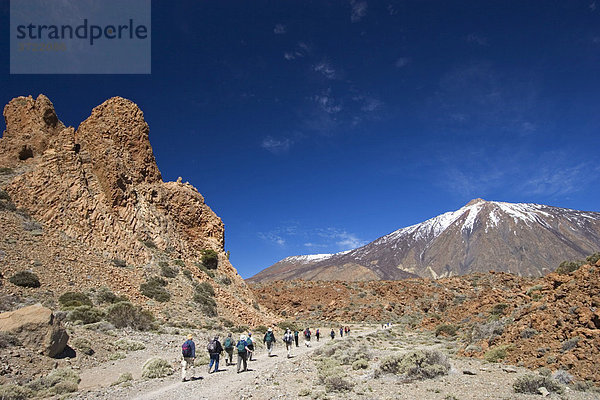 Nationalpark Canadas del Teide mit Berg Teide Teneriffa Kanaren