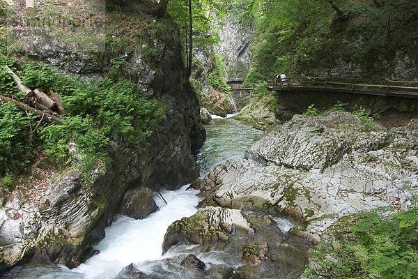 Vintgar-Schlucht mit Fluss Radovna bei Bled -Triglav-Nationalpark - Slowenien