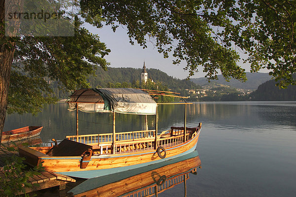 Bleder See mit Insel Otok und Plette  morgens  Slowenien