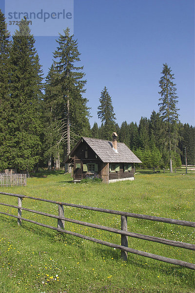 Hütte in Mrzli studenec  Pokljuka  Triglav-Nationalpark  Slowenien