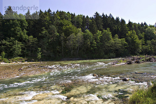 Isar bei Geretsried - Ascholdinger Au - Oberbayern