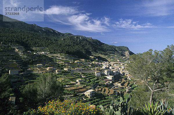 Mallorca Banyalbufar