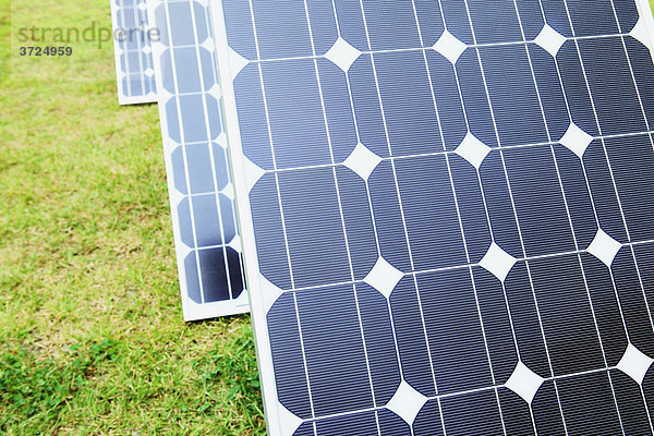 Solar-Panels auf dem Rasen