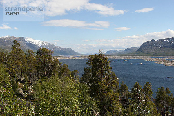 Landschaft im Stora Sjöfallet Nationalpark  Lappland  Schweden  Europa