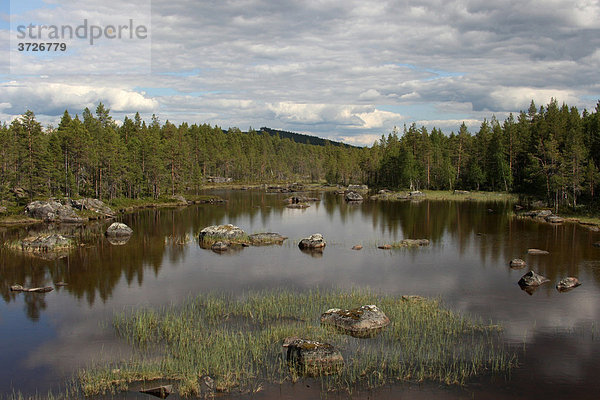 Seenlandschaft  Lappland  Schweden  Europa