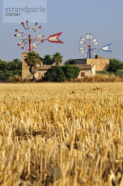 Windmills near Es Pont d'Inca  Majorca  Balearic Islands  Spain  Europe
