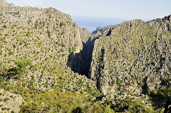 Blick in die Schlucht Torrente de Pareis  eines der Top-Wanderreviere der Insel  Tramuntana-Gebirge  Mallorca  Balearen  Spanien  Europa