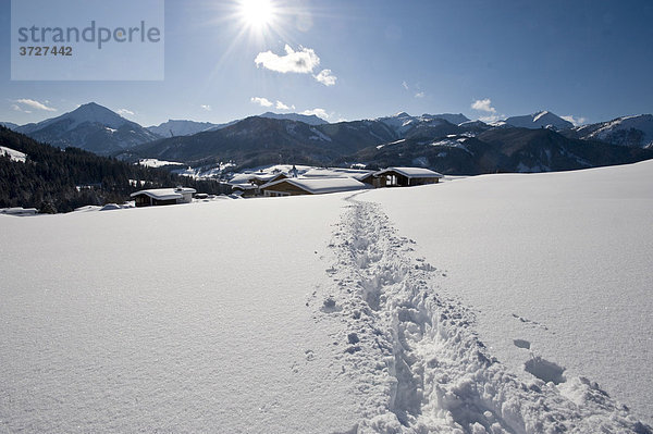 Spur in Winterlandschaft  Achenkirch  Tirol Österreich