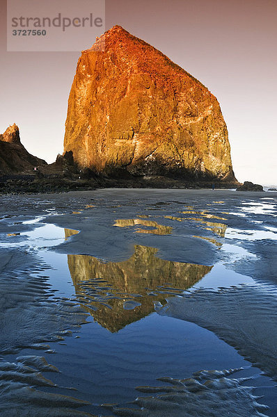 Berühmter Fels Haystack Rock Monolith  erstarrter Lavafelsen spiegelt sich in den Gezeitentümpel  am Cannon Beach  Touristenattraktion  Clatsop County  Oregon Coast  USA  Nordamerika